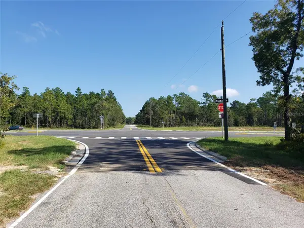 TBD STATE ROAD 20, Hawthorne, FL 32640