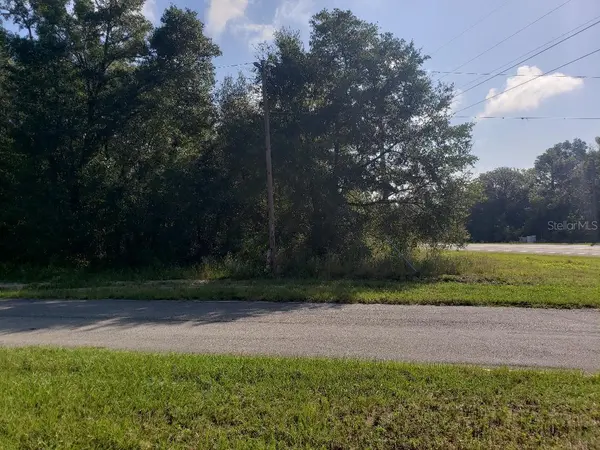 TBD STATE ROAD 20, Hawthorne, FL 32640