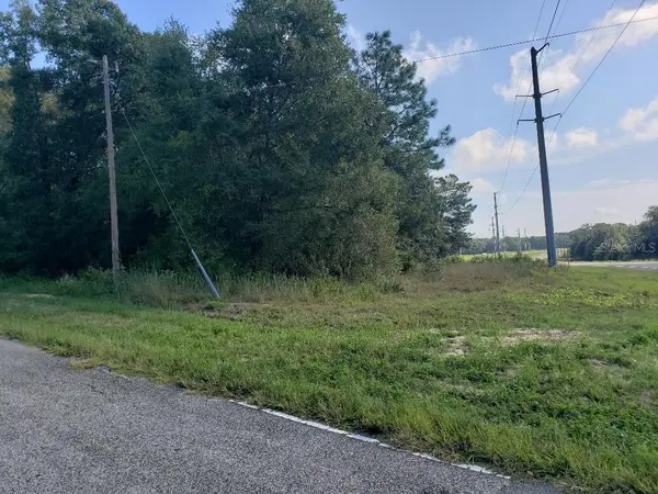 TBD STATE ROAD 20, Hawthorne, FL 32640