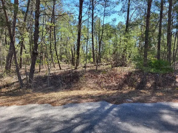 TBD SE FISHER RUN TER #LOT 16, Ocala, FL 34472