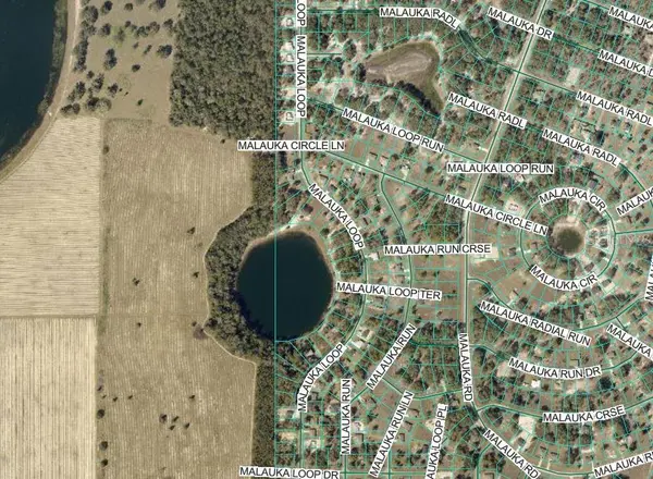 MALAUKA RUN, Ocklawaha, FL 32179