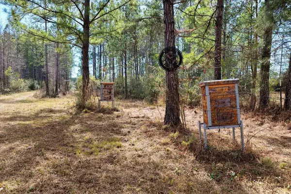 60 Acres NW CLYATT ROAD, Chiefland, FL 32626