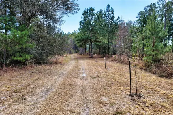 60 Acres NW CLYATT ROAD, Chiefland, FL 32626