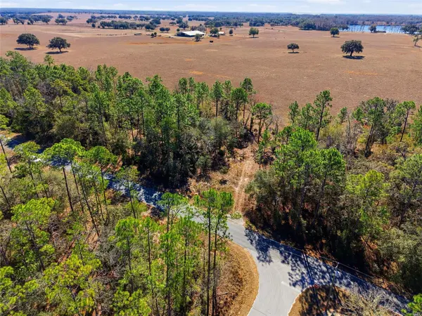 24456 SW TIGER LAKE BLVD W, Dunnellon, FL 34431