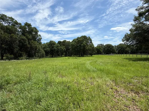 TBD NW 329, Reddick, FL 32686