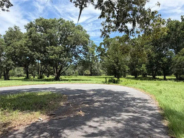 TBD NW 329, Reddick, FL 32686
