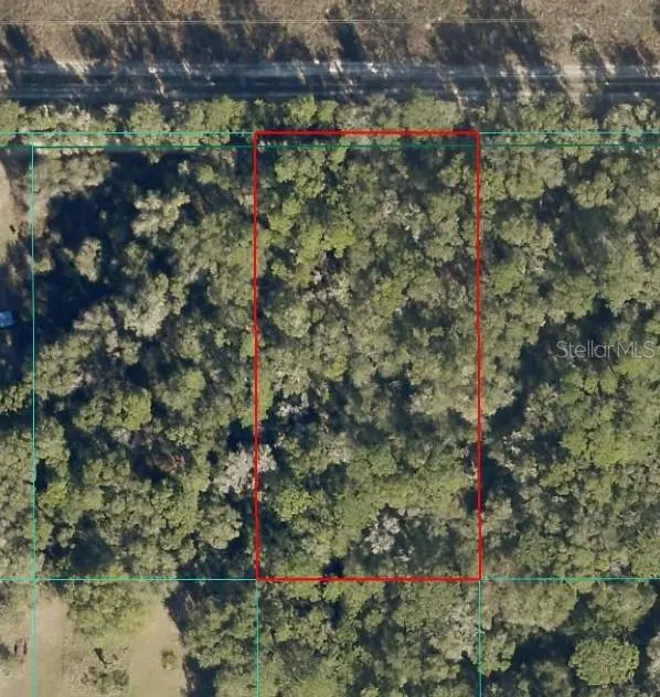 Tract 15 SW 150TH ST, Dunnellon, FL 34433
