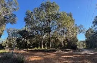 TBD NE 135 AVE, Fort Mc Coy, FL 32134