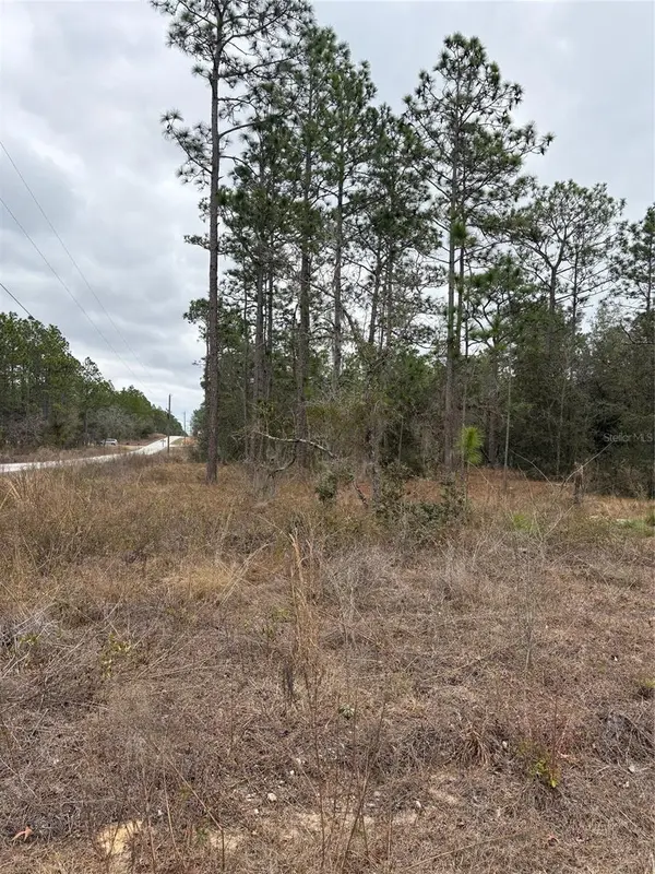 1159 NW REDWOOD DR, Dunnellon, FL 34431