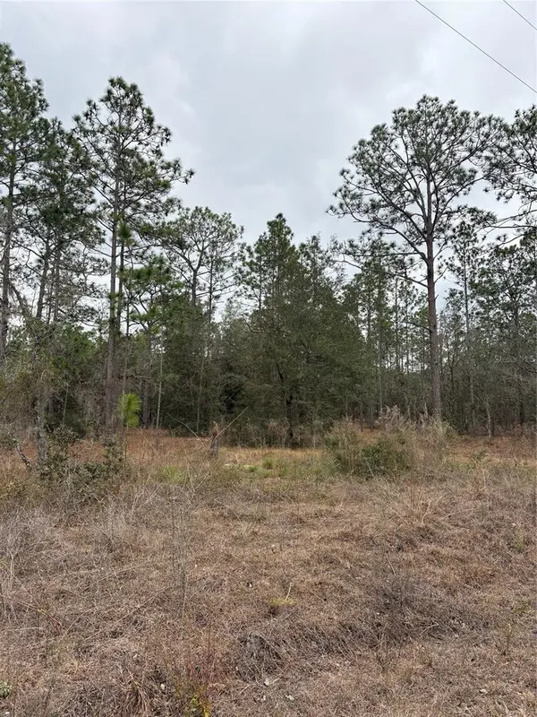 1159 NW REDWOOD DR, Dunnellon, FL 34431
