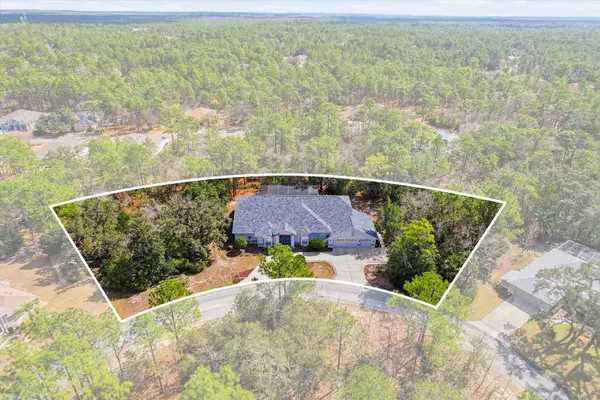 16 DRYPETES CT E, Homosassa, FL 34446,Video Tour