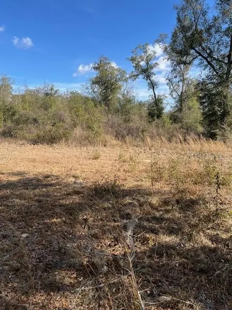 NW 7TH ST, Ocala, FL 34482