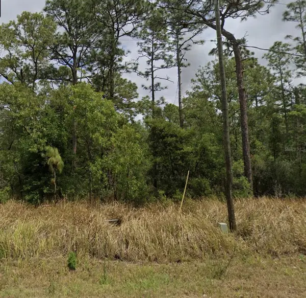 0 BAHIA TERRACE DR, Ocala, FL 34472