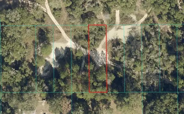 Lot 027 NE 164TH LN, Citra, FL 32113