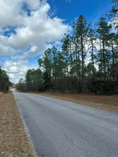Address not disclosed, Dunnellon, FL 34431