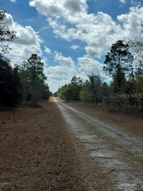 Address not disclosed, Dunnellon, FL 34431