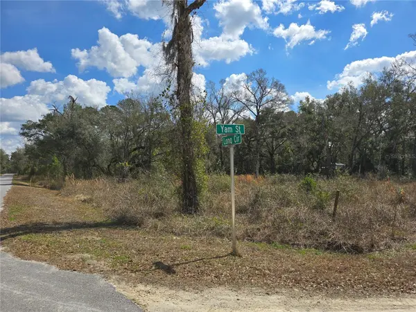 6436 YAM ST, Webster, FL 33597