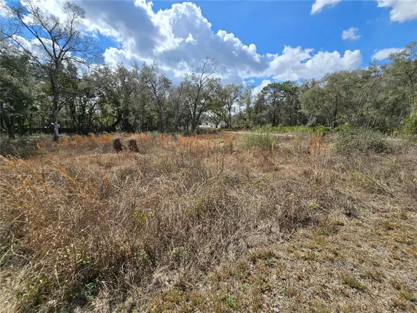 6436 YAM ST, Webster, FL 33597
