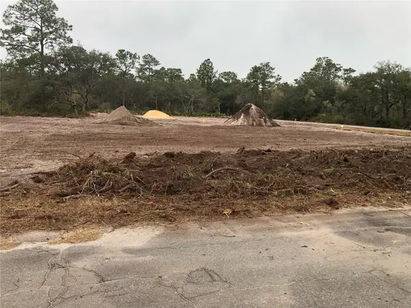 000 FISHER LOOP, Ocklawaha, FL 32179
