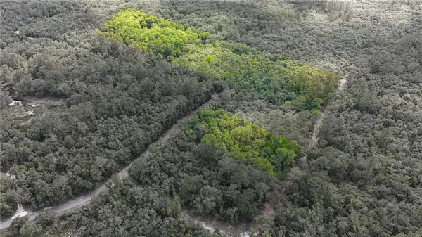 TBD OFF RIVERVIEW RD #9, Fanning Springs, FL 32693