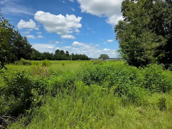 2351 NE HIGHWAY 41, Williston, FL 32696