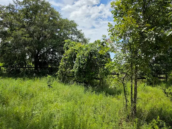 2351 NE HIGHWAY 41, Williston, FL 32696