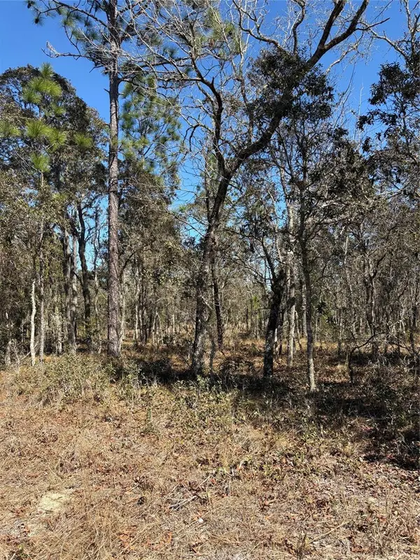 TBA SE 135TH CT, Dunnellon, FL 34431