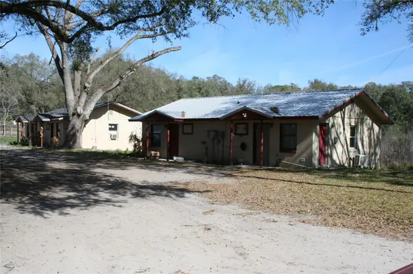 12959 NE 250TH CT, Salt Springs, FL 32134