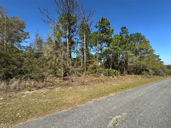833 W CHAMPLAIN LN, Citrus Springs, FL 34434