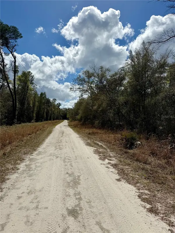 TBD NE 110TH CT, Fort Mc Coy, FL 32134