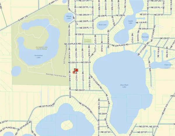 TBD NE 110TH CT, Fort Mc Coy, FL 32134