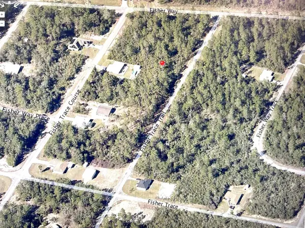 0 FISHER TRACE TRL E, Ocklawaha, FL 32179