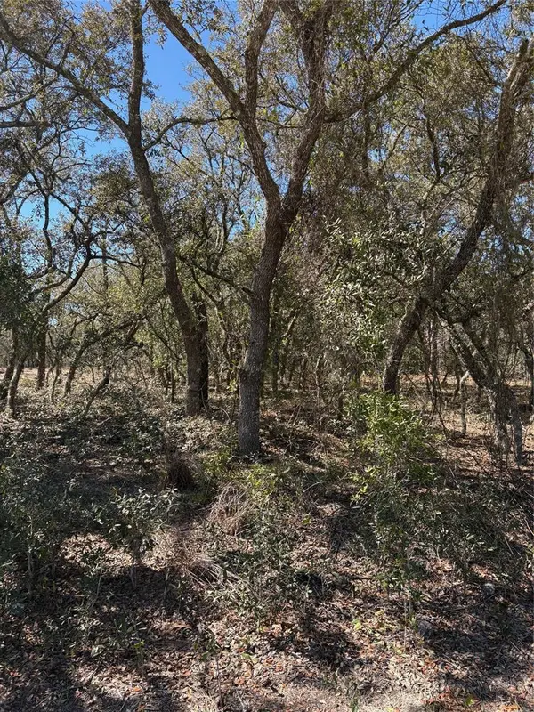 TBA SE SE 132ND COURT CT, Dunnellon, FL 34431