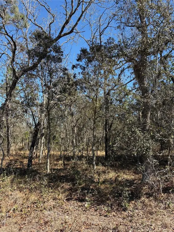 TBA SE 134TH TERRACE TER, Dunnellon, FL 34431