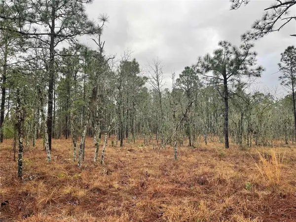 TBD SE 71 ST, Morriston, FL 32668