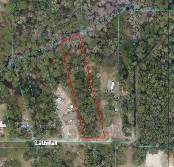 NE 172ND PL LOT 11, Fort Mc Coy, FL 32134