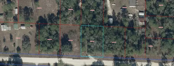 NE 54 PL, Williston, FL 32696