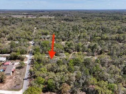 NE 54 PL, Williston, FL 32696