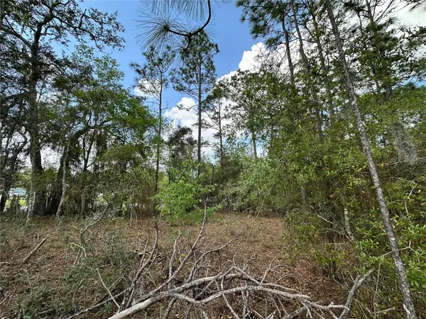 TBD SE 30TH ST, Morriston, FL 32668