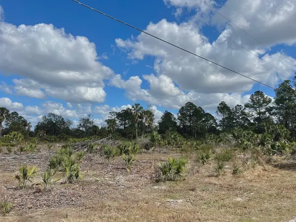 SHILOH RD, Cedar Key, FL 32625