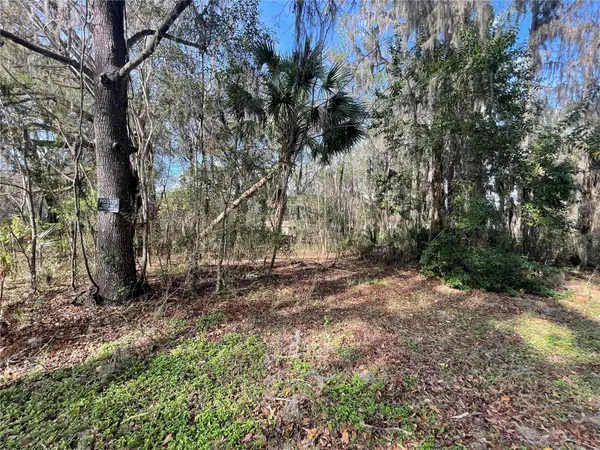 TBD SE 40TH LOOP, LOT 1, Ocala, FL 34480