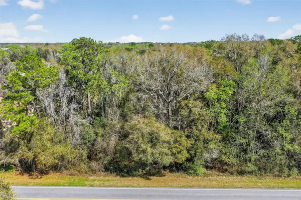 TBD NW HWY 225A, Reddick, FL 32686
