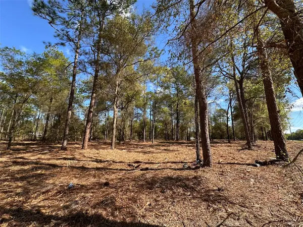 0 W HWY 40, Ocala, FL 34481