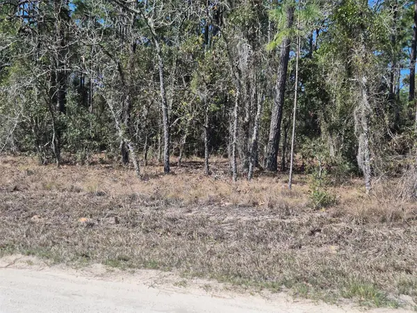 00 NE 137TH AVE, Williston, FL 32696
