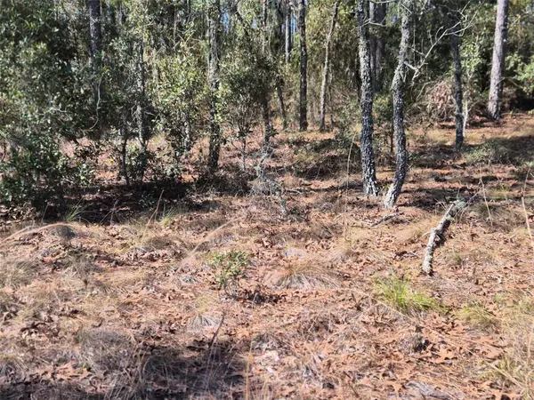00 NE 137TH AVE, Williston, FL 32696