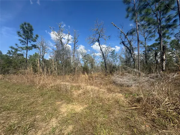 tbd NE 155TH AVE, Williston, FL 32696