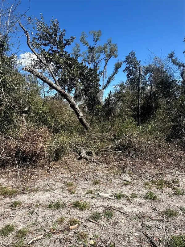 NE 688TH AVE, Cross City, FL 32628