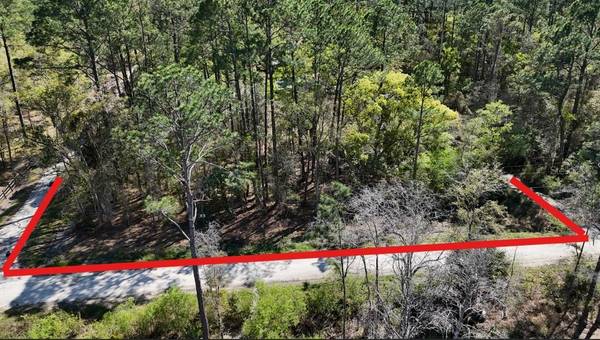 TBD NE 137TH PL, Citra, FL 32113