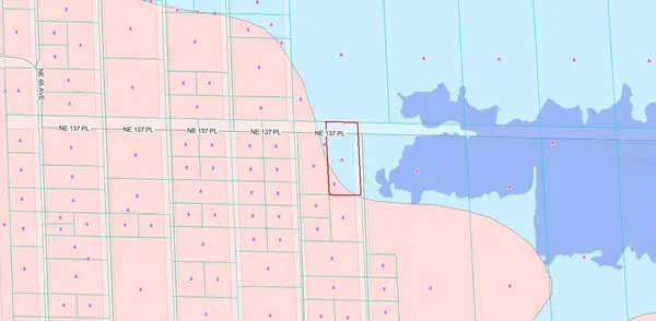TBD NE 137TH PL, Citra, FL 32113