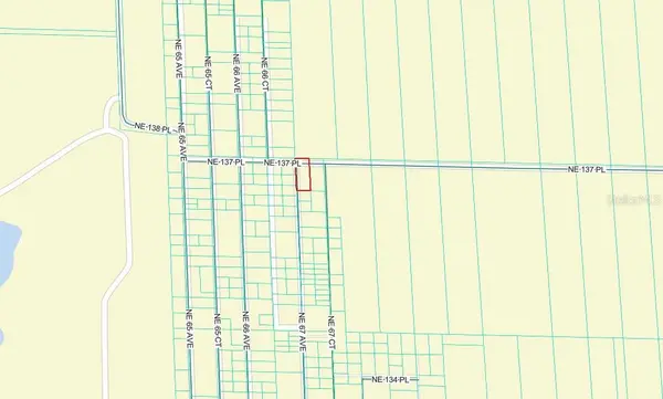 TBD NE 137TH PL, Citra, FL 32113